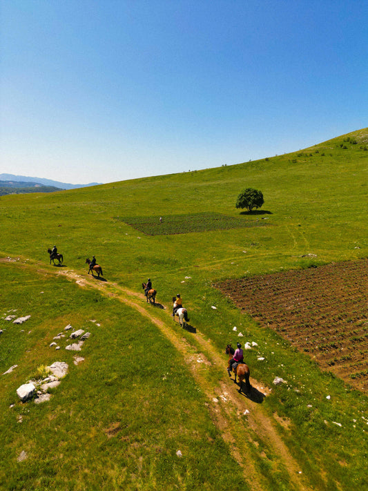 Corporate Event: Horseback Ride