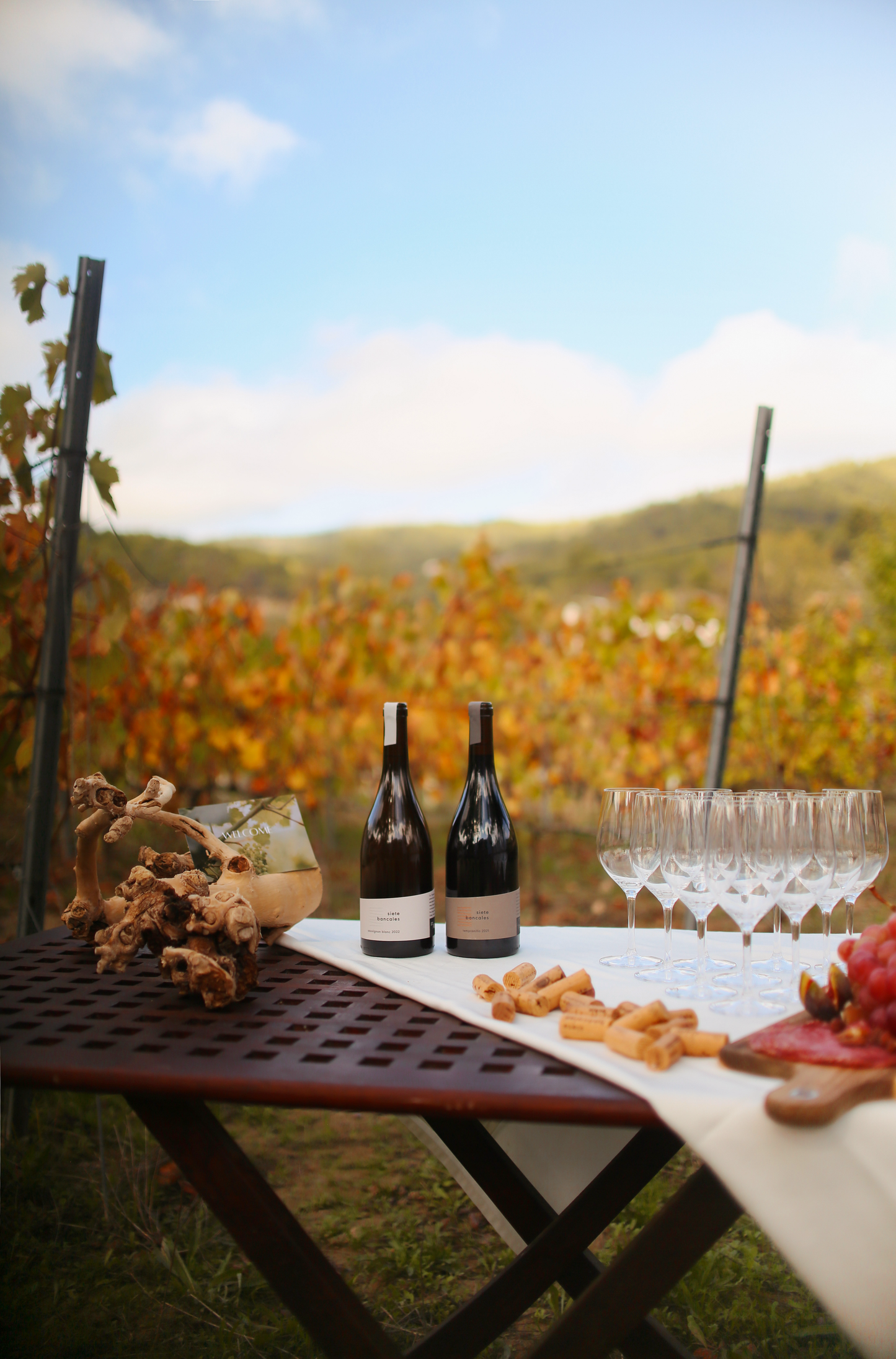 DÌA Cata de Vinos (2 Bodegas) + Tapas