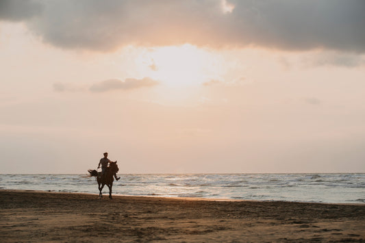 Lake Horseback Riding Experience with Private Transfer