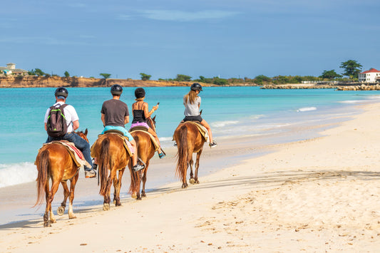 From Saint Tropez: Gulf View Horseback Ride + River Crossing