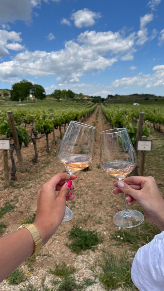 Corporate Event: Dinner between the vineyards