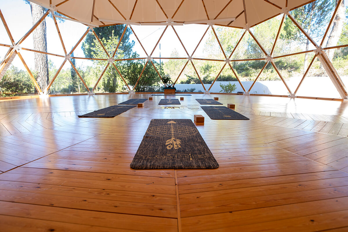 Alicante: Yoga & Wine Day Retreat + Transport